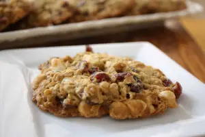 Cran-Pumpkin Peanut Butter Oatmeal treats for dogs